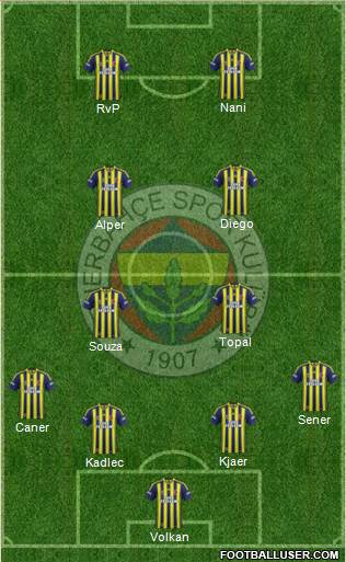 Fenerbahçe SK Formation 2015