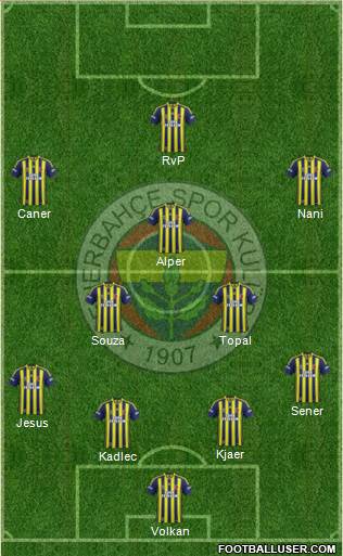 Fenerbahçe SK Formation 2015