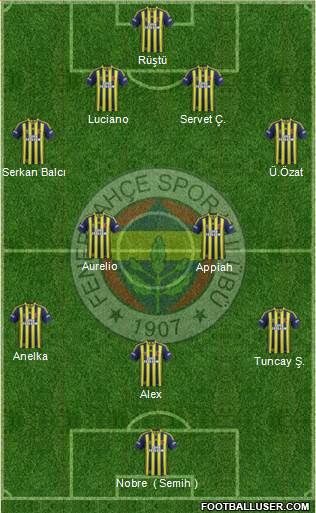 Fenerbahçe SK Formation 2015
