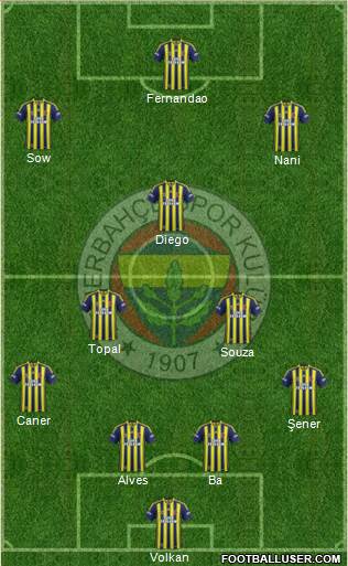 Fenerbahçe SK Formation 2015