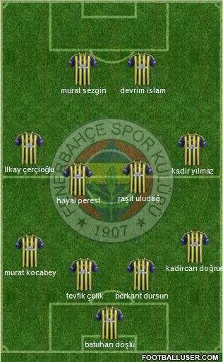 Fenerbahçe SK Formation 2015