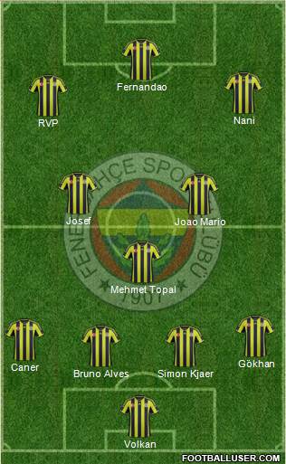 Fenerbahçe SK Formation 2015