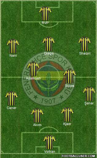 Fenerbahçe SK Formation 2015
