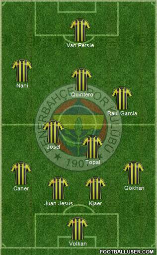Fenerbahçe SK Formation 2015