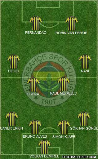 Fenerbahçe SK Formation 2015