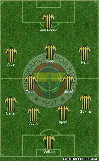 Fenerbahçe SK Formation 2015
