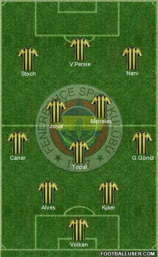 Fenerbahçe SK Formation 2015