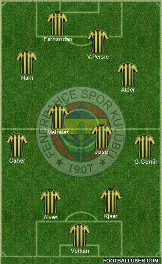 Fenerbahçe SK Formation 2015