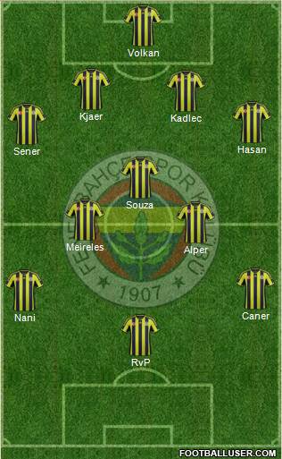 Fenerbahçe SK Formation 2015