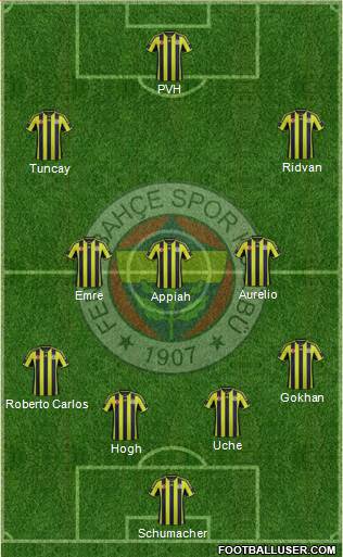 Fenerbahçe SK Formation 2015