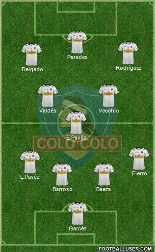 CSD Colo Colo Formation 2015