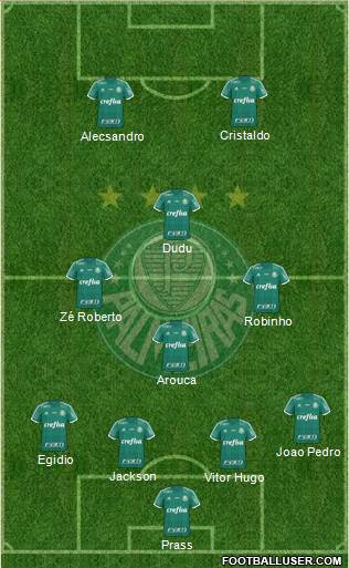 SE Palmeiras Formation 2015
