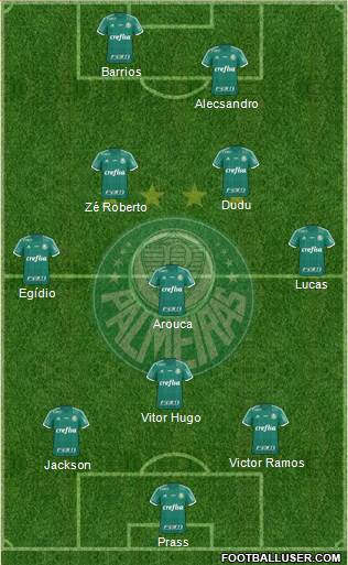 SE Palmeiras Formation 2015