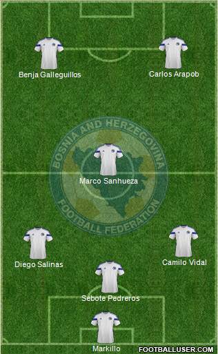 Bosnia and Herzegovina Formation 2015
