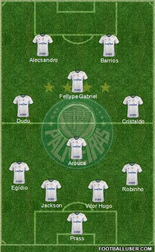 SE Palmeiras Formation 2015
