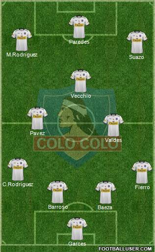CSD Colo Colo Formation 2015