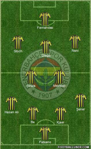 Fenerbahçe SK Formation 2015