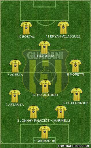 C Guaraní Formation 2015