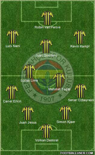 Fenerbahçe SK Formation 2015