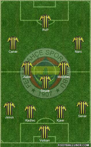 Fenerbahçe SK Formation 2015