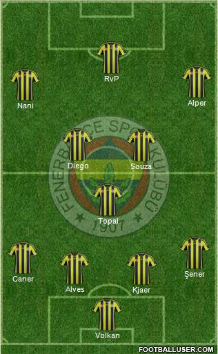 Fenerbahçe SK Formation 2015