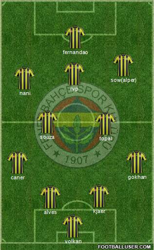 Fenerbahçe SK Formation 2015