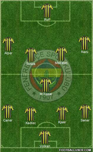 Fenerbahçe SK Formation 2015