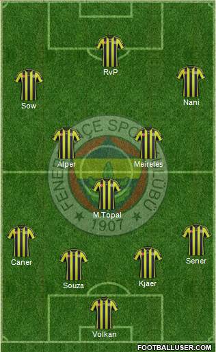 Fenerbahçe SK Formation 2015