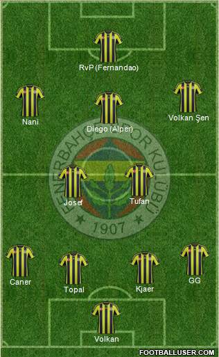 Fenerbahçe SK Formation 2015