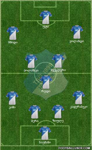 TSG 1899 Hoffenheim Formation 2015