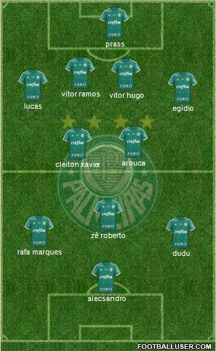 SE Palmeiras Formation 2015