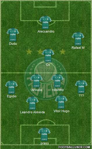 SE Palmeiras Formation 2015