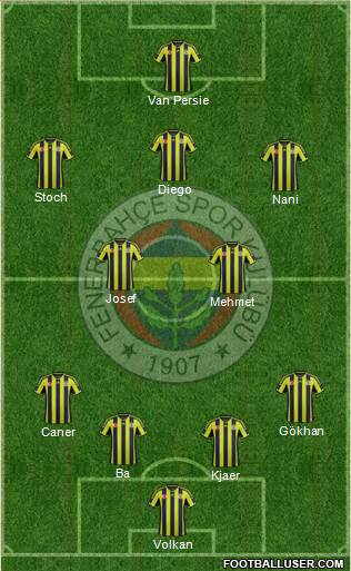 Fenerbahçe SK Formation 2015