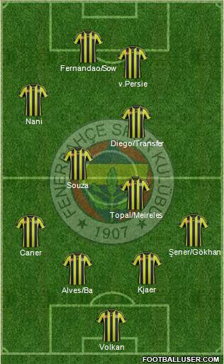 Fenerbahçe SK Formation 2015