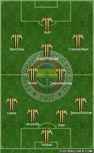 Fenerbahçe SK Formation 2015