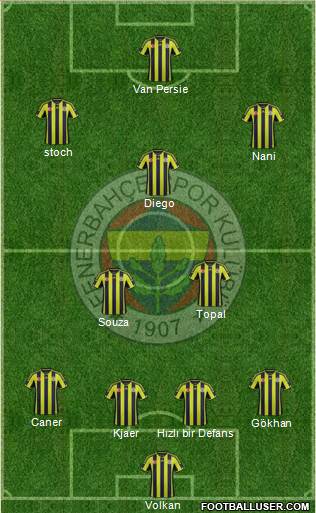 Fenerbahçe SK Formation 2015