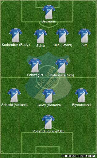 TSG 1899 Hoffenheim Formation 2015