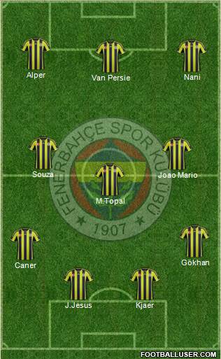 Fenerbahçe SK Formation 2015