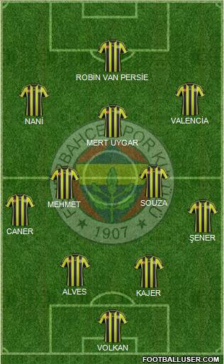Fenerbahçe SK Formation 2015