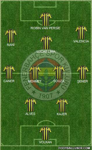 Fenerbahçe SK Formation 2015
