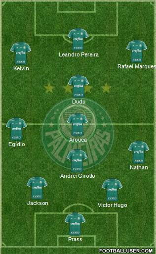 SE Palmeiras Formation 2015