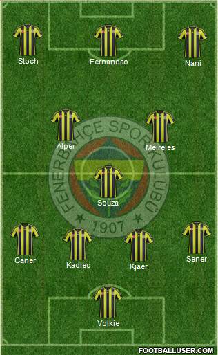 Fenerbahçe SK Formation 2015