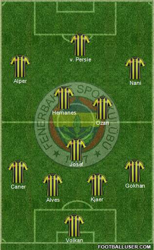 Fenerbahçe SK Formation 2015