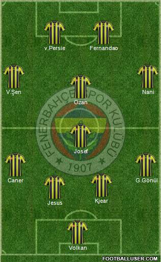 Fenerbahçe SK Formation 2015