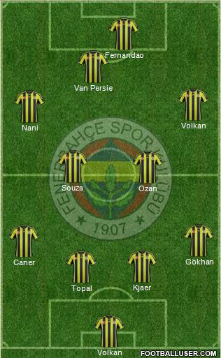 Fenerbahçe SK Formation 2015