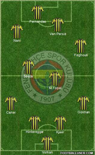 Fenerbahçe SK Formation 2015
