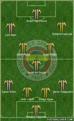 Fenerbahçe SK Formation 2015