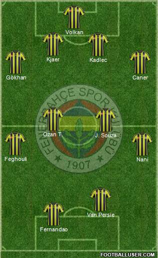 Fenerbahçe SK Formation 2015