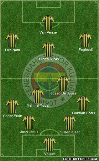 Fenerbahçe SK Formation 2015