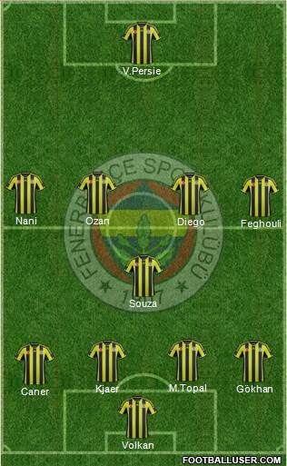 Fenerbahçe SK Formation 2015